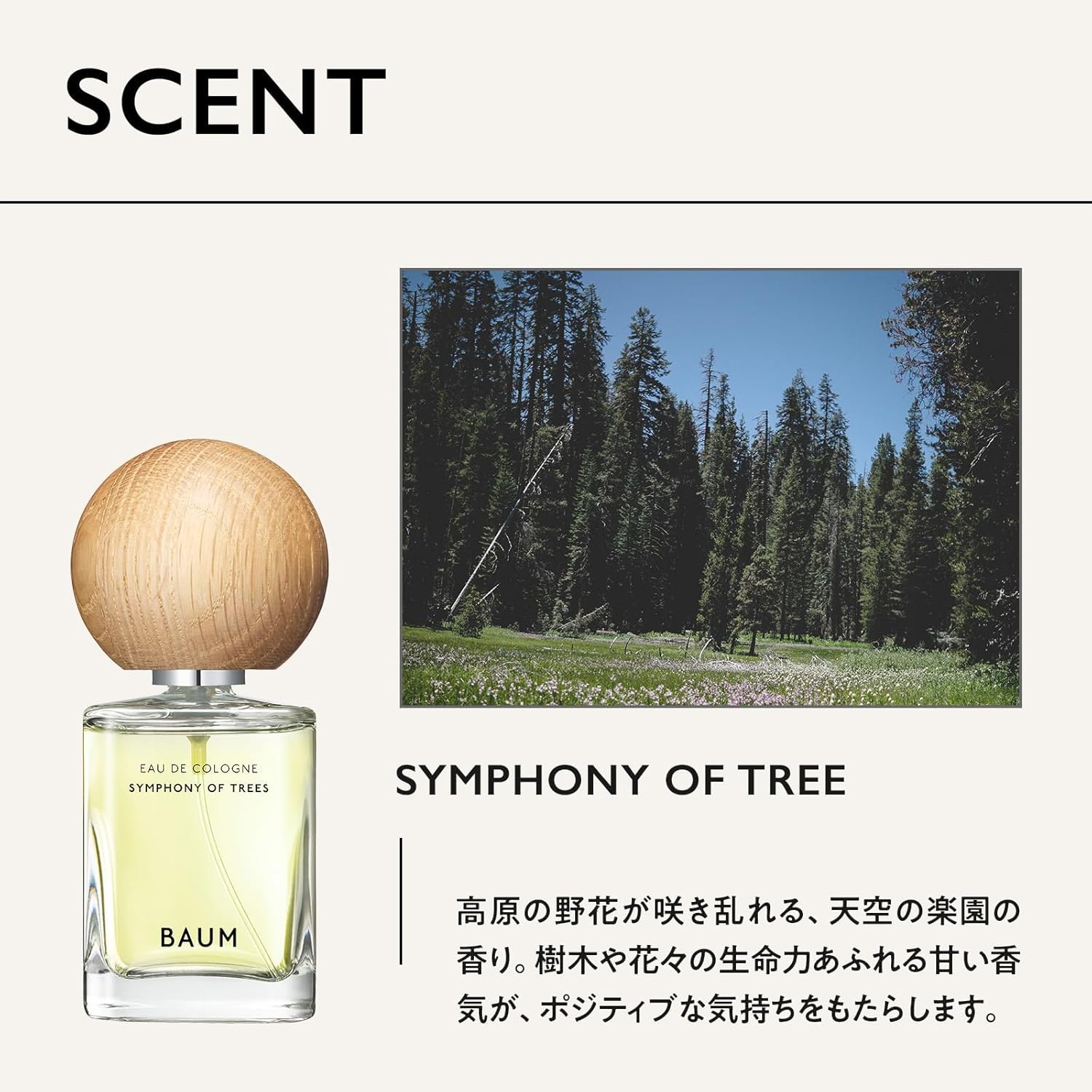 Amazon.co.jp: BAUM オーデコロン 3 60mL ＋フレグランスサンプル